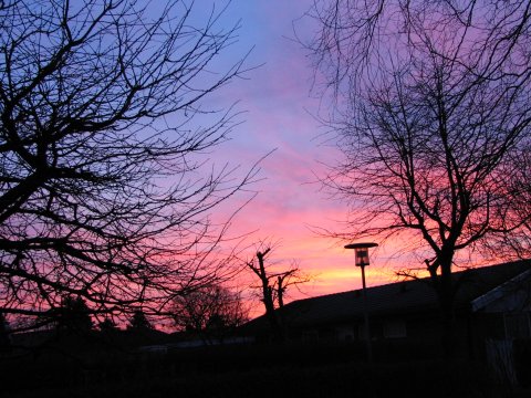 Morgen på Stenvænget